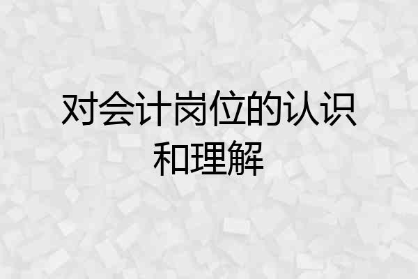 对会计岗位的认识和理解