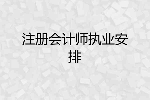 注册会计师执业安排