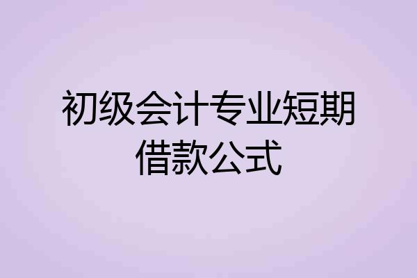 初级会计专业短期借款公式