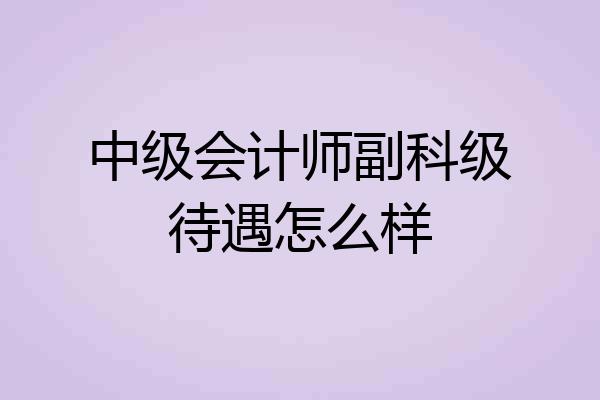 中级会计师副科级待遇怎么样