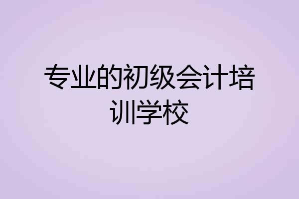 专业的初级会计培训学校