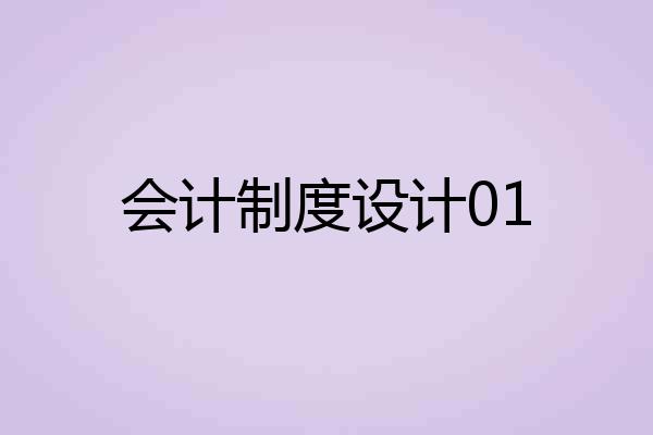会计制度设计01
