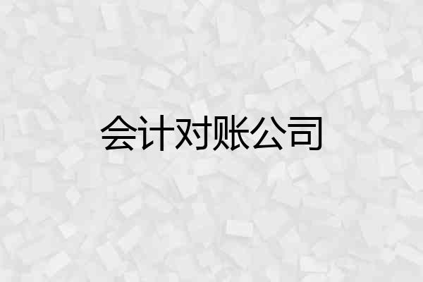 会计对账公司
