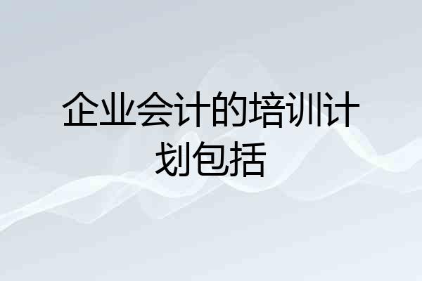 企业会计的培训计划包括