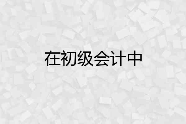 在初级会计中