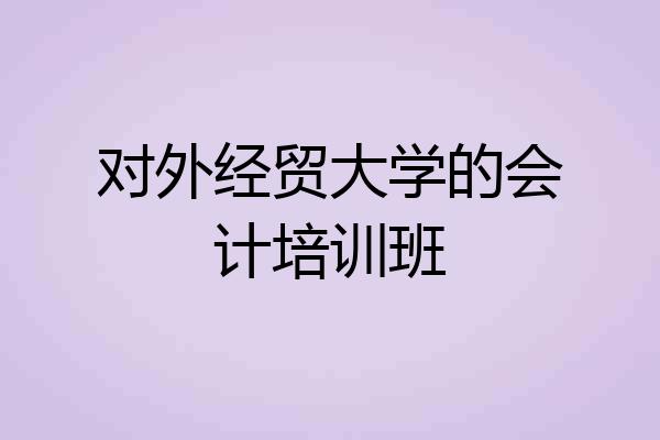 对外经贸大学的会计培训班