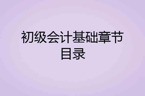 初级会计基础章节目录