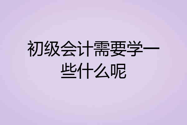 初级会计需要学一些什么呢