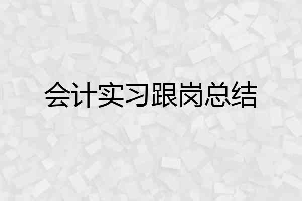 会计实习跟岗总结
