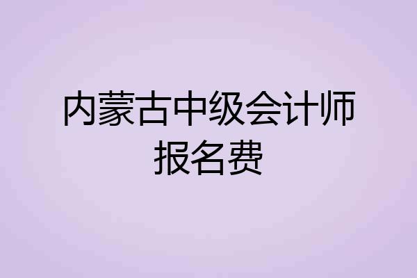 内蒙古中级会计师报名费