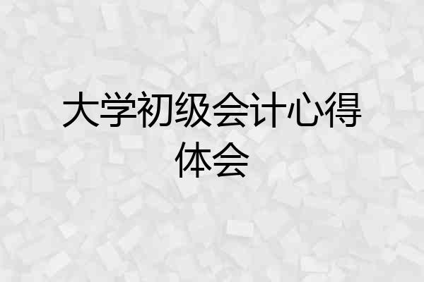 大学初级会计心得体会