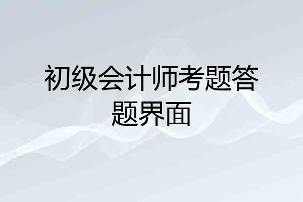 初级会计师考题答题界面