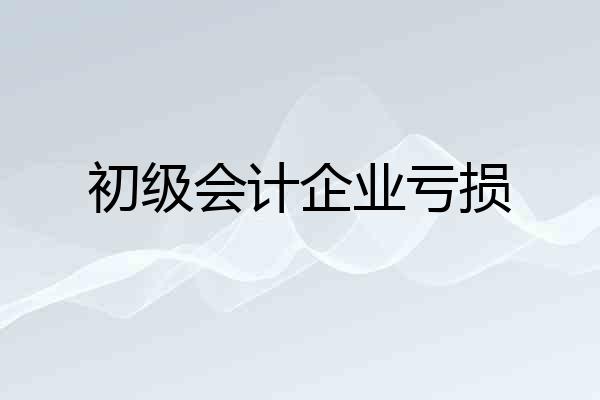 初级会计企业亏损
