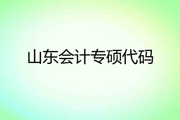 山东会计专硕代码