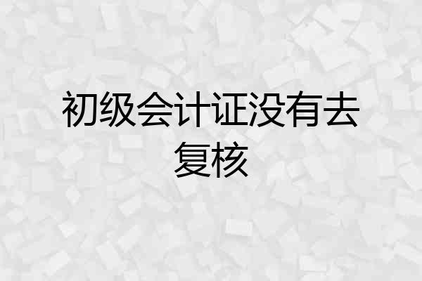 初级会计证没有去复核