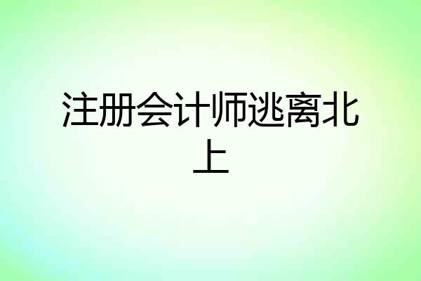 注册会计师逃离北上