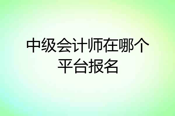 中级会计师在哪个平台报名