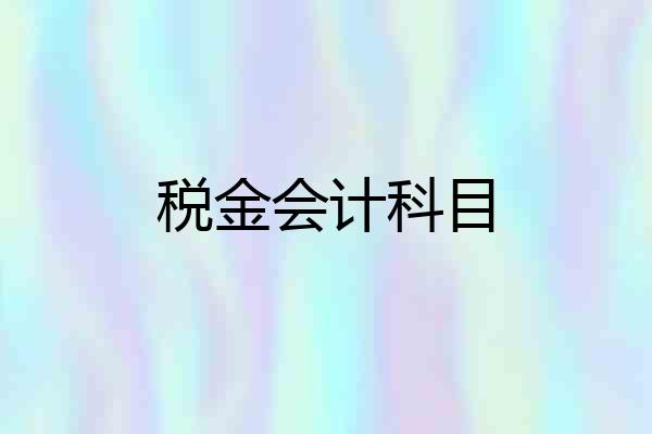 税金会计科目