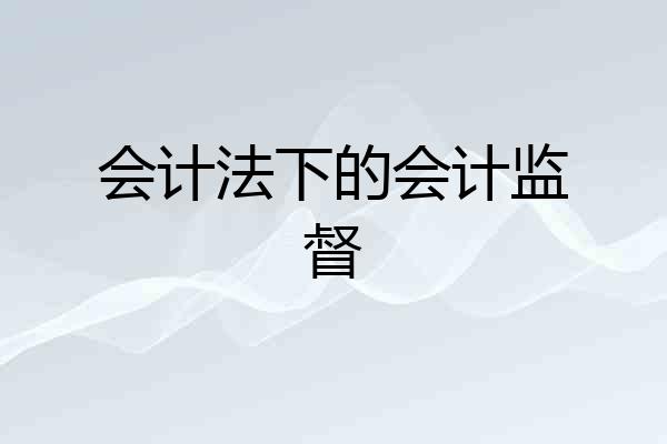 会计法下的会计监督