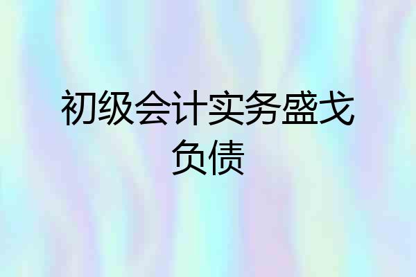 初级会计实务盛戈负债