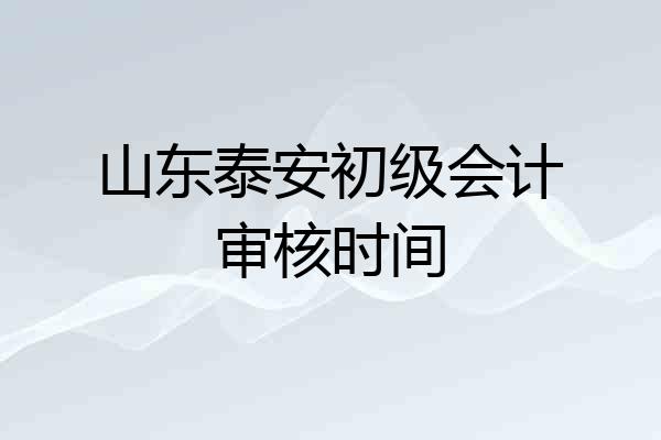 山东泰安初级会计审核时间