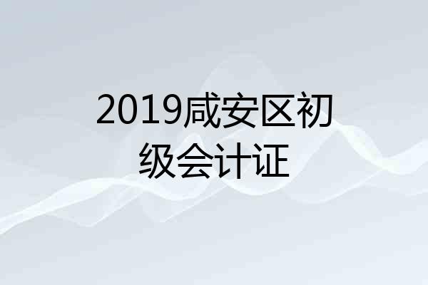 2019咸安区初级会计证