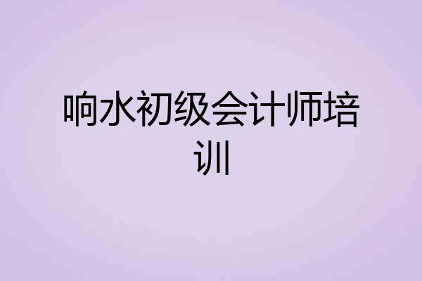 响水初级会计师培训