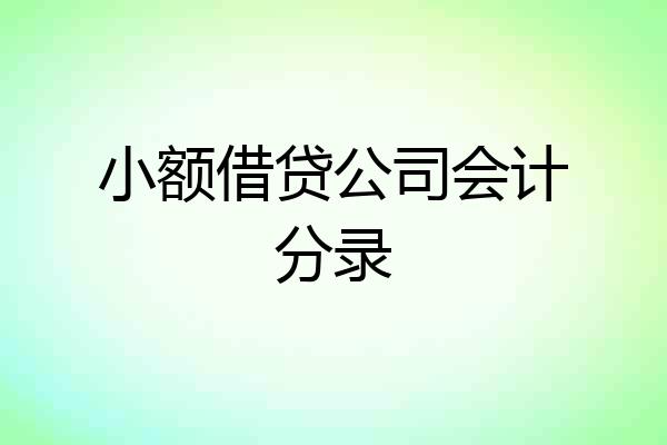 小额借贷公司会计分录