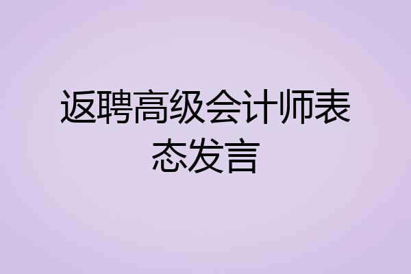 返聘高级会计师表态发言