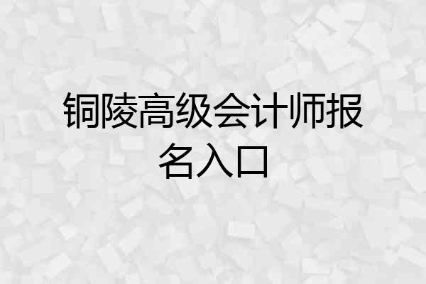 铜陵高级会计师报名入口