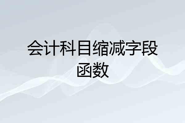 会计科目缩减字段函数