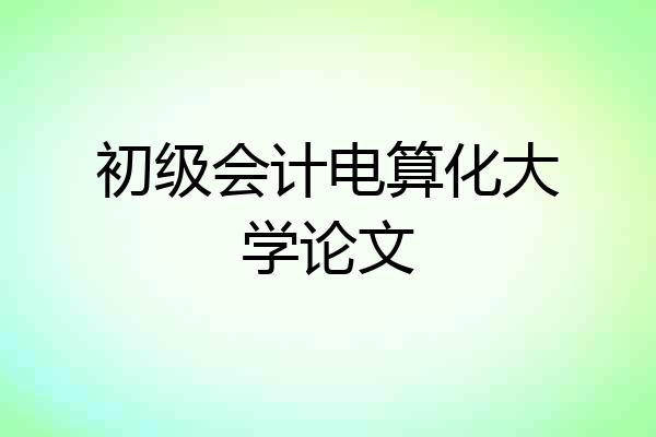 初级会计电算化大学论文