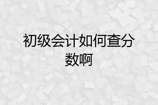 初级会计如何查分数啊