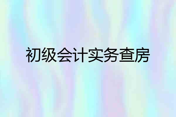 初级会计实务查房