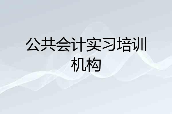 公共会计实习培训机构