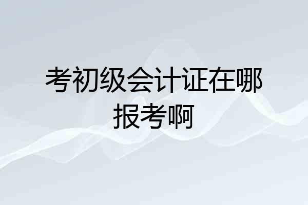 考初级会计证在哪报考啊