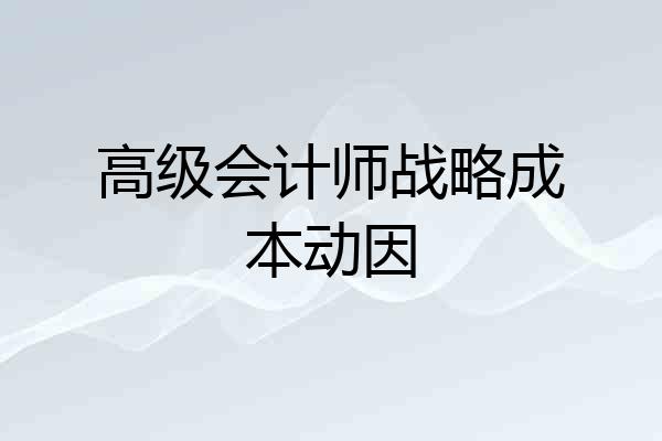 高级会计师战略成本动因