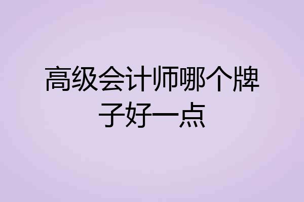高级会计师哪个牌子好一点