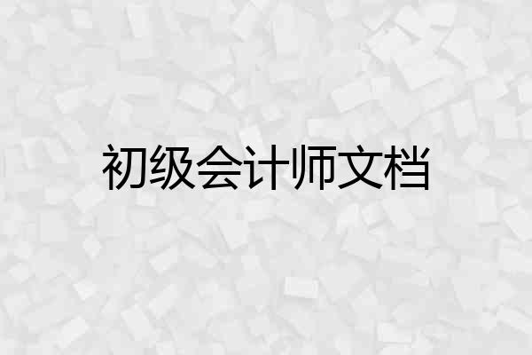初级会计师文档