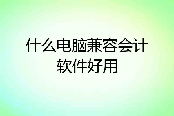 什么电脑兼容会计软件好用