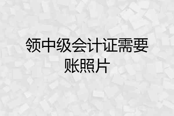 领中级会计证需要账照片
