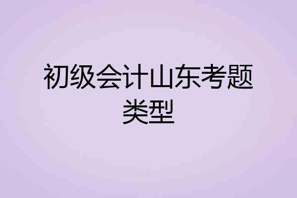 初级会计山东考题类型
