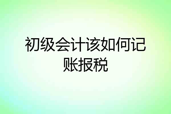 初级会计该如何记账报税