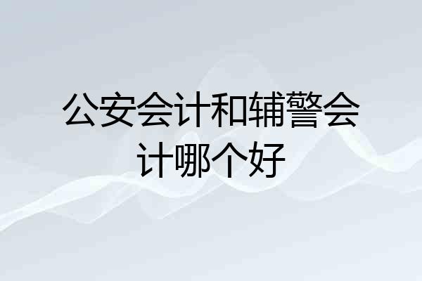 公安会计和辅警会计哪个好