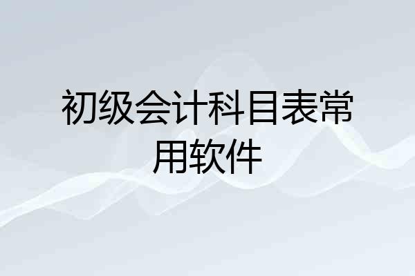 初级会计科目表常用软件