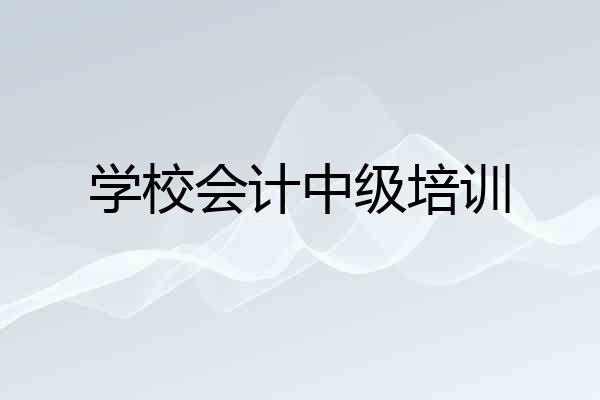 学校会计中级培训