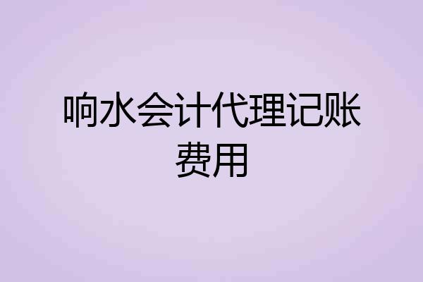 响水会计代理记账费用