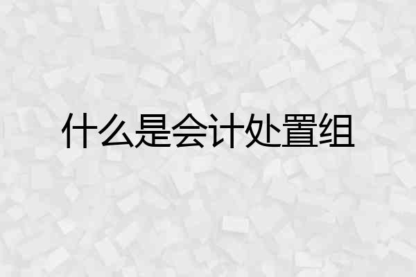 什么是会计处置组