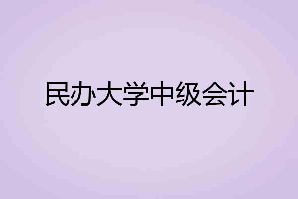 民办大学中级会计