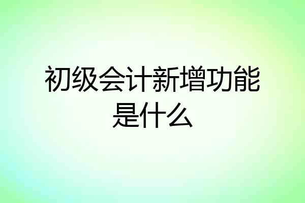 初级会计新增功能是什么